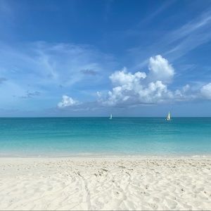 Meet your Posher, Jessamine